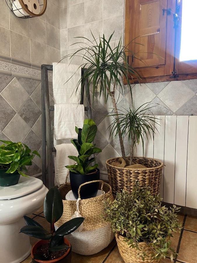 Esse Natura Alojamientos & Lifestyle Pozohondo Extérieur photo